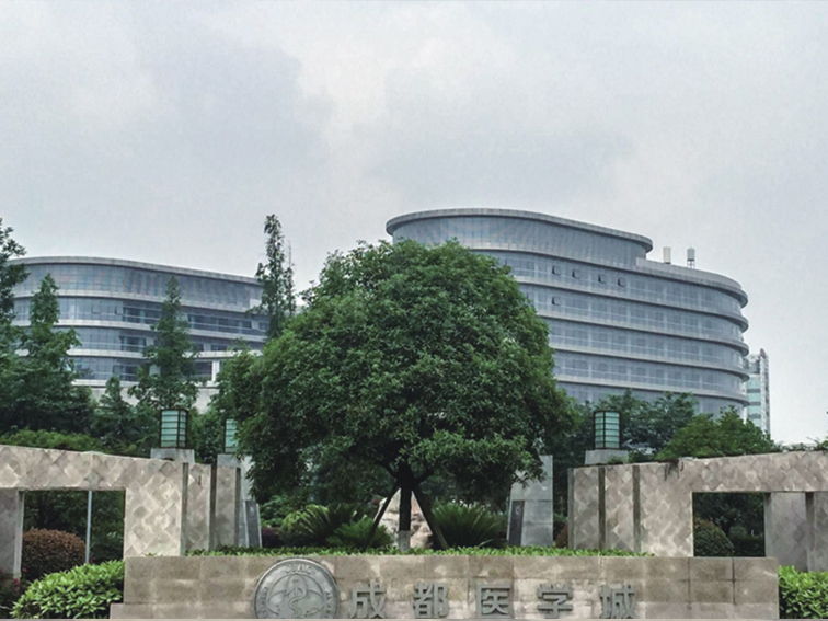 成都国际医学城
